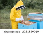 Small photo of a young beekeeper in a yellow beekeeping suit takes out honeycombs from the beehives. honeycombs and honey in the beehive. organic honey production.Natural food