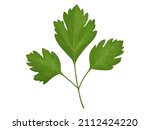 parsley. cartoon parsley... | Shutterstock .eps vector #2112424220
