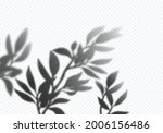 vector transparent shadows of... | Shutterstock .eps vector #2006156486