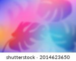 colorful tropical gradient... | Shutterstock .eps vector #2014623650
