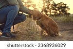 Small photo of Man strokes muzzle of cocker spaniel dog sitting on park road man tames stroking red cocker spaniel dog in summer park man owner strokes purebred dog companion in sunset field on vacation closeup