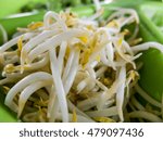 Mung beans or bean sprouts on green plates