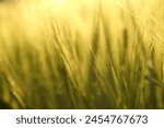 Abstract nature background with ...