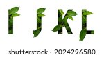 Leaf font i j k l isolated on...