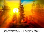 Sunrise In Forest Landscape....