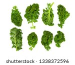Kale Vegetable Leaf