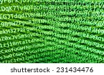 programming code abstract... | Shutterstock . vector #231434476