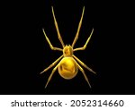 3d Golden Spider Illustration...