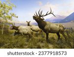 Small photo of American Museum of Natural History, New York, USA - November 4, 2014: Taxidermy of a group of Wapiti deer on the grass