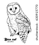 Illustration Of Barn Owl  Hand...
