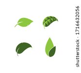 leaf logo vector template... | Shutterstock .eps vector #1716632056