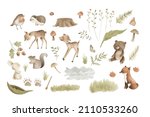 Woodland Animals Watercolor...