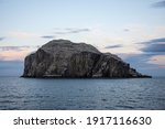 Bass Rock Gannet Colony  Firth...