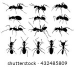 silhouettes of ants. 