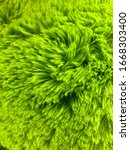 Lime Green Furry Fur Texture...