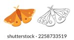 moth color illustration and...