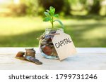 Capital. Glass jar with coins and a plant in it, with a label on the jar and a few coins on a wooden table, natural background. Finance and investment concept. High quality photo