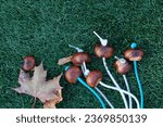 Chestnuts on strings on green...