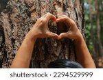 Close-up of a woman's hand making a heart shape on a tree trunk. Female environmentalist making heart shape fingers on pine tree trunk. Love and protect nature concept.