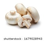 Mushroom Isolated On White...