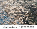 Small photo of Fullscreen texture of the rippled sea with blue-and-yellow reflections