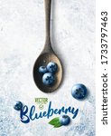 vector realistic blueberry... | Shutterstock .eps vector #1733797463