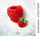 vector realistic raspberry... | Shutterstock .eps vector #1760175659