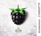 vector realistic blackberry... | Shutterstock .eps vector #1769820779