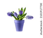 Bouquet  Violet Blue Garden ...