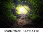 Natural tunnel in tropical jungle forest. Road path way through lush, foliage and trees of evergreen dense rain forest. Mysterious magic background