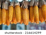 Ripe Dried Corn Cobs Hanging  
