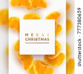 merry christmas card. fruit... | Shutterstock . vector #777380659