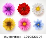 Spring Flowers Colorful Vector...
