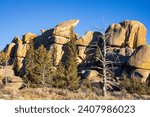 Small photo of Boulder fields of Vedauwoo in Wyoming. Sherman Granite boulders in Medicine Bow -Routt National Park. Vedauwoo boulders in afternoon sun with dark blue sky and scrub trees.