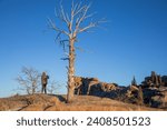 Small photo of Hiker on the boulder fields of Vedauwoo in Wyoming. Sherman Granite boulders in Medicine Bow -Routt National Park. Person standing on Vedauwoo boulders with dark blue sky and scrub trees.