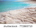 Dead Sea Salt Shore. Ein Bokek  ...