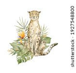 Watercolor Cute Cheetah And...