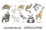 Watercolor Wild Animals Letter...