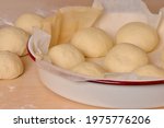 Rounded milk buns on baking paper in baking pan with three small breads on wooden table in background; delicious, fluffy rolls with milk bread dough ready to ferment