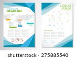 vector brochure flyer design... | Shutterstock .eps vector #275885540