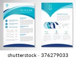 vector brochure flyer design... | Shutterstock .eps vector #376279033