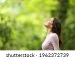 Profile of a relaxed woman breathing fresh air in a green forest