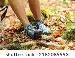Small photo of Close up portrait of a trekker stumbling suffering sprain on ankle in a forest