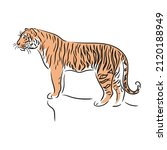 Standing Calm Tiger. Stylized...