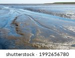Small photo of Panoramic view over the mudflats during low tide near former harbor of De Cocksdorp, Texel, The Netherlands, named Haventje van Sil (Sil's harbor) after beachcomber Sil Boon
