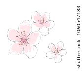 blossom flowers isolated vector ... | Shutterstock .eps vector #1060547183