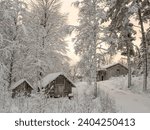 Small photo of Old croft in the forest in winter time