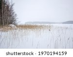 southern karelia  finland ... | Shutterstock . vector #1970194159