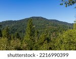A Forest Mountain Seen From The ...