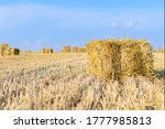 Straw Bales On A Wheat Field